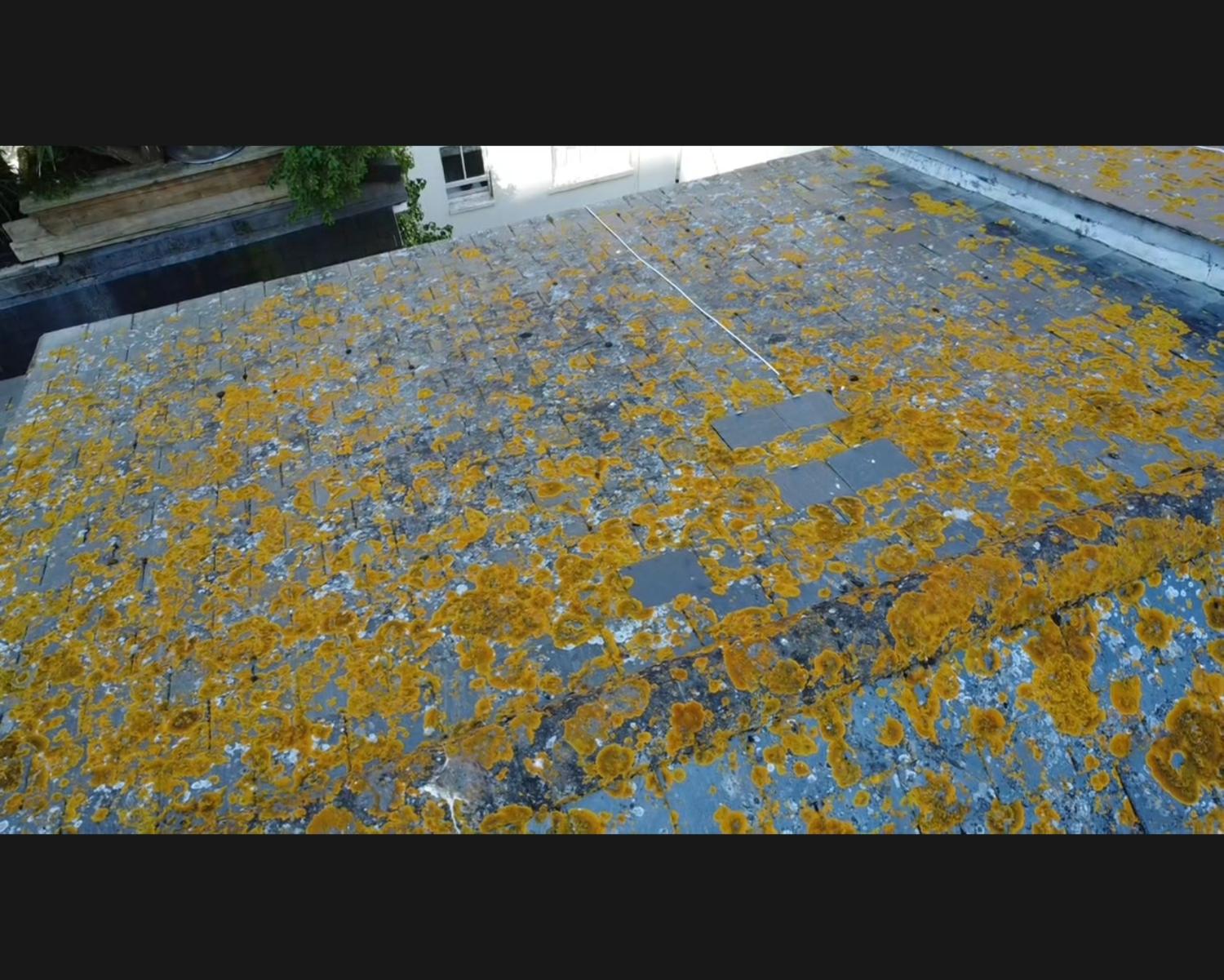 Coastal Roofing Solutions job photo
