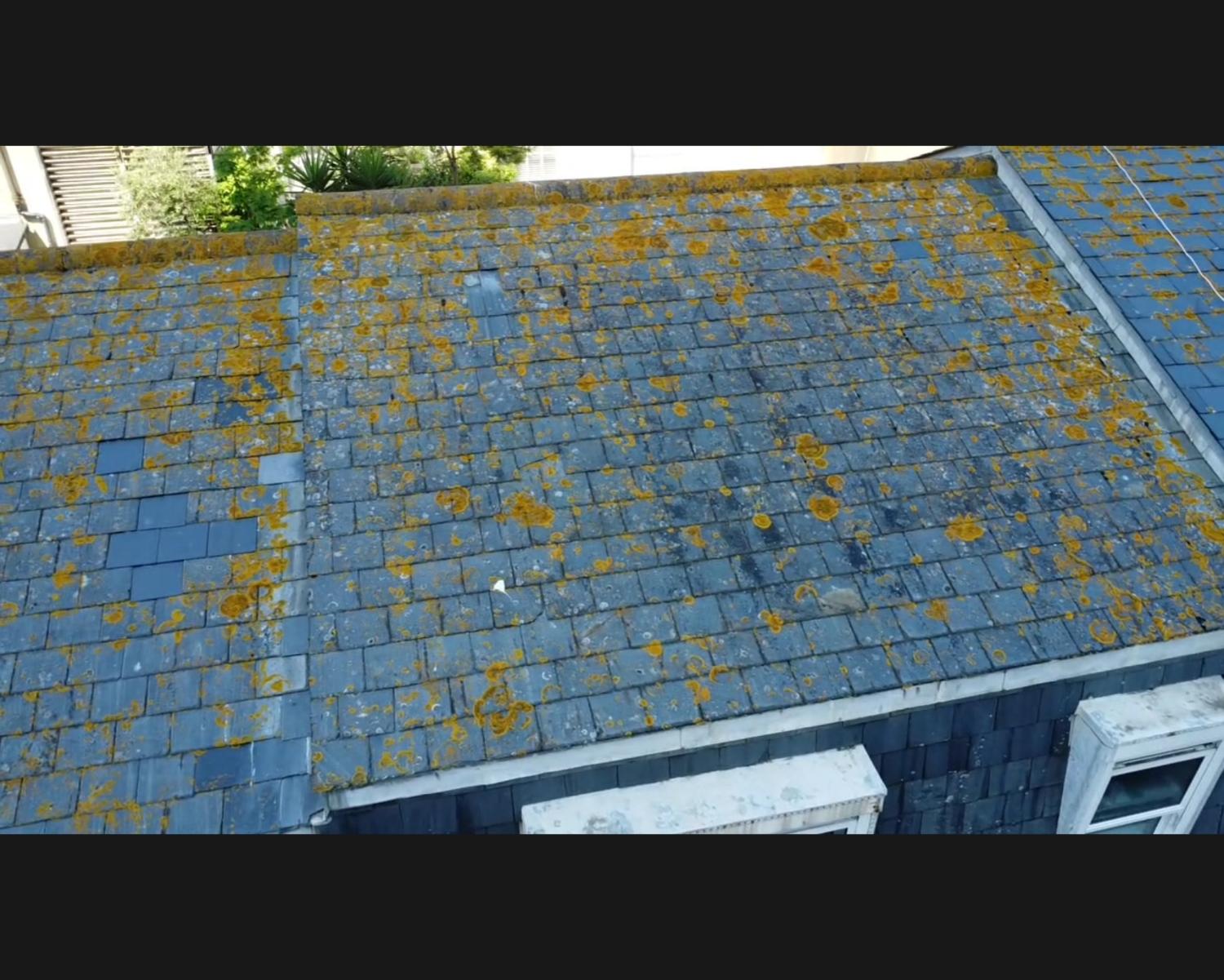 Coastal Roofing Solutions job photo